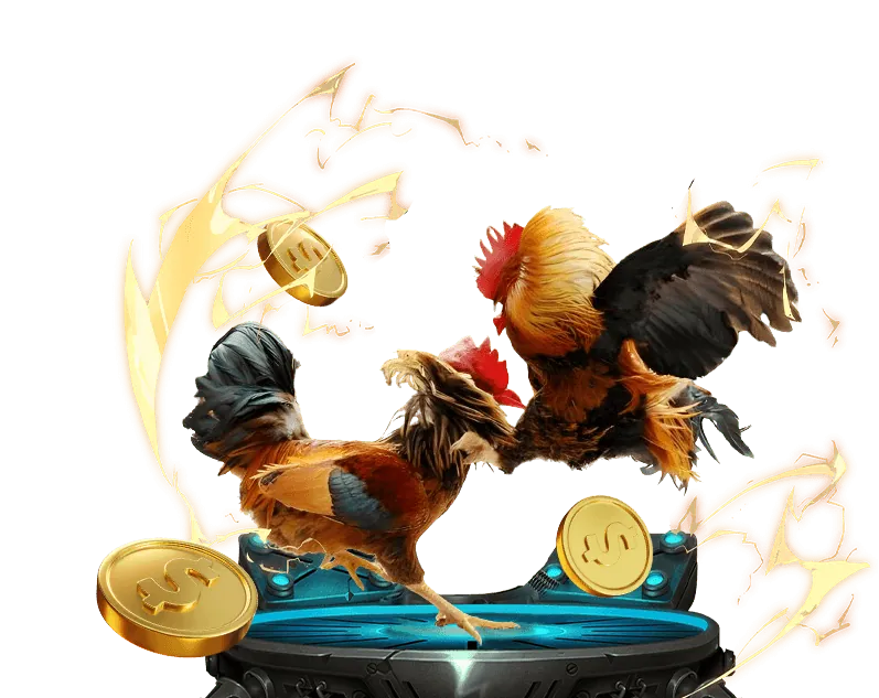 Đội ngũ hỗ trợ khách hàng game 24h poki